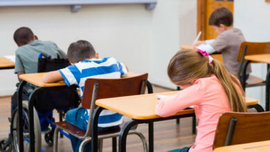 Governo cria política nacional para estudantes com altas habilidades
