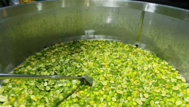 São Roque do Canaã desafia o próprio recorde e prepara caipirinha de 1.500 litros – Em Dia ES