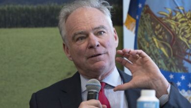 Brasil tem razão legítima para desconfiar de interferência dos EUA nas eleições, afirma senador americano – Em Dia ES