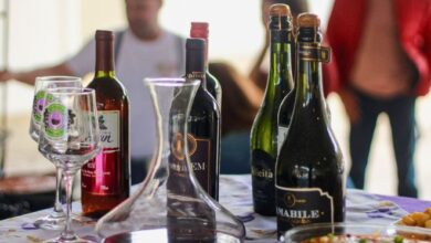 Festa do Vinho e da Uva tem entrada gratuita e distribui 250 litros de suco em Santa Teresa – Em Dia ES
