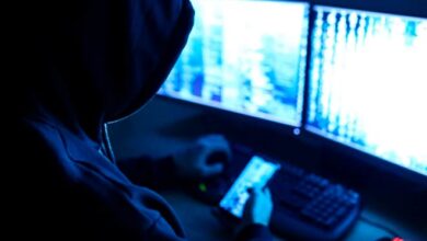 Lei que aumenta punição a crimes digitais contra crianças é sancionada – Em Dia ES