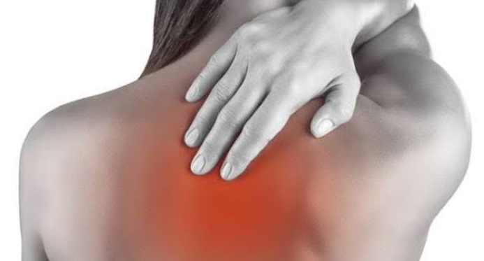 Assembleia Legislativa aprova carteira de identificação para pessoas com fibromialgia no ES – Em Dia ES