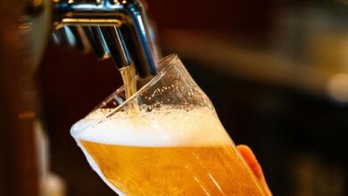 Festival de cerveja artesanal reúne gastronomia e música na Serra neste fim de semana – Em Dia ES
