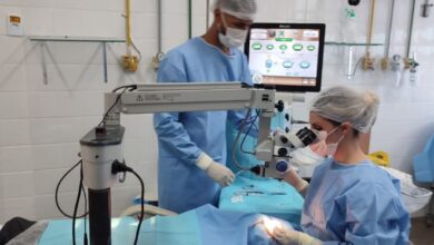 Mutirão de cirurgias de catarata deve atender mais de 500 pacientes no Hospital Geral de Linhares – Em Dia ES