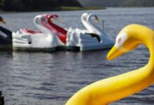 Lagoa Juara é opção de lazer e gastronomia para aproveitar o feriado na Serra – Em Dia ES